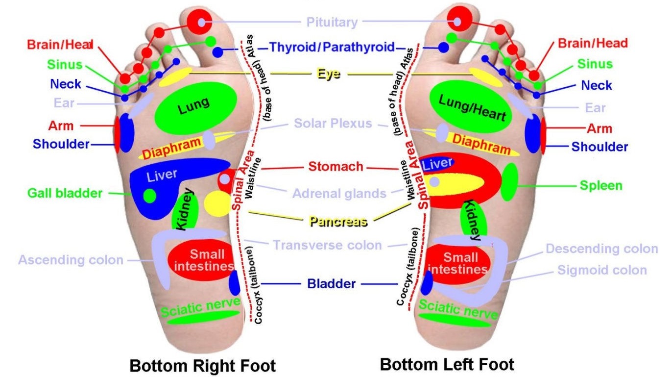 Acupuncture Insole 1 Pair Abu Lail Medical & Sport Center